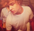 /album/fenykepgaleria/liam17-jpg/